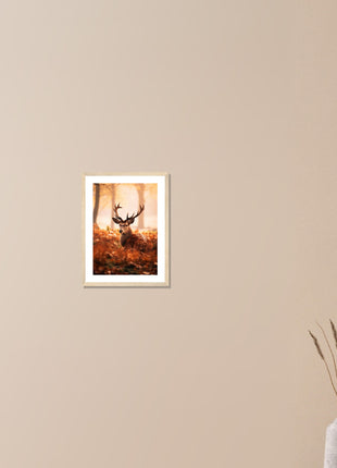 Deer in fall woods poster