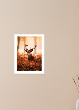 Deer in fall woods poster