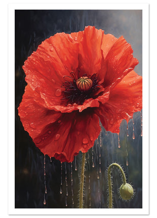 Poppy in the rain poster