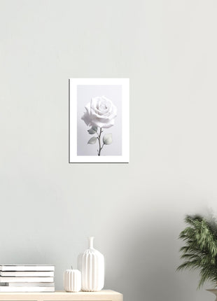 White rose photograph poster