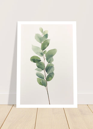 Eucalyptus branch poster