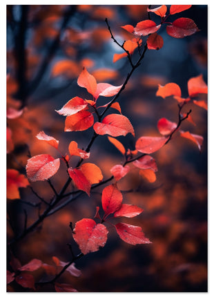 Red leaves in fall photograph poster