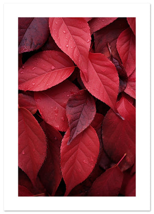 Affiche de feuilles rouges