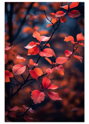 Red leaves in fall photograph poster