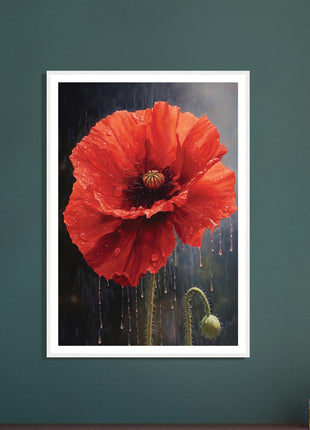 Poppy in the rain poster