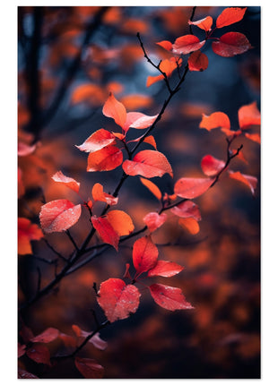 Red leaves in fall photograph poster