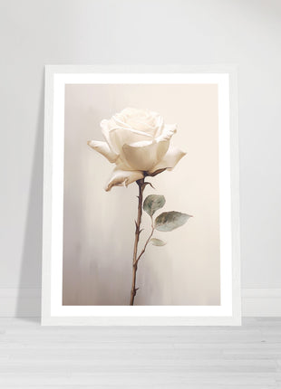 White rose painting