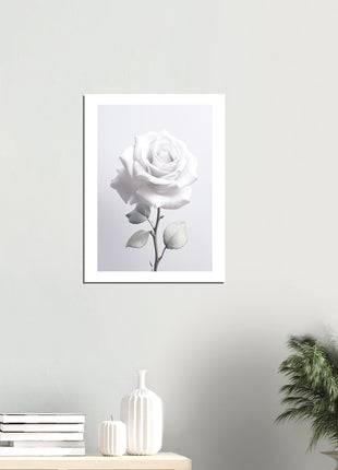 White rose photograph poster