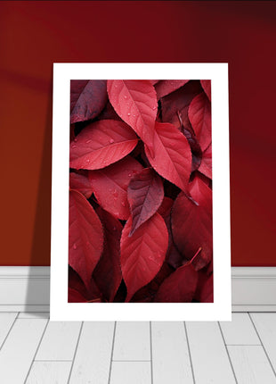 Affiche de feuilles rouges