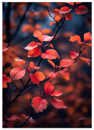 Red leaves in fall photograph poster