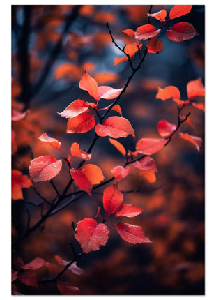 Red leaves in fall photograph poster