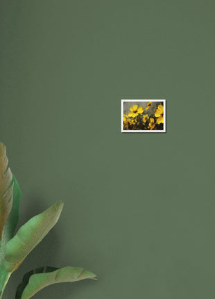 Yellow spring flowers on darker background poster