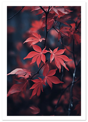 Red leaves in fall poster