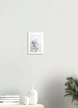 White rose photograph poster