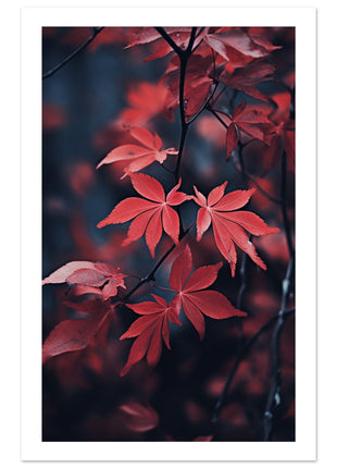 Red leaves in fall poster