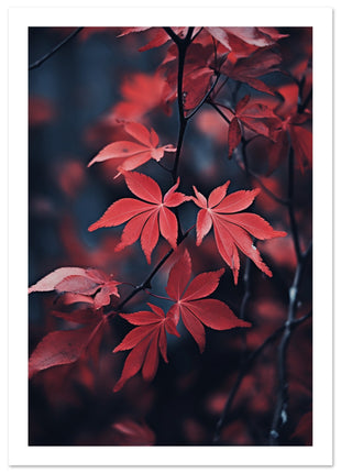 Red leaves in fall poster