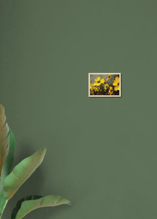 Yellow spring flowers on darker background poster